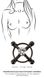 Зажимы для сосков со стразом Bad Kitty Nipple Jewellery black - фото товара