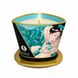 Массажная свеча Shunga экзотические цветы (170 мл) - фото товара