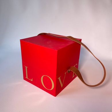 Подарочная коробка с ручкой LOVE красная, S - фото