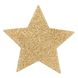 Пестіс-стикини Bijoux Indiscrets Flash Star Gold, наклейки на соски - фото товару