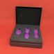 Svakom Nova Ball - набор вагинальных шариков фиолетовый - фото товара