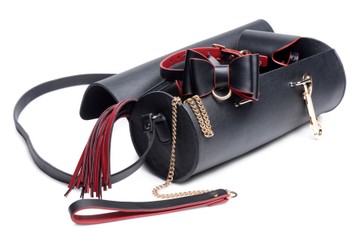 БДСМ набір 9 предметів Master Series Bow Luxury BDSM Set With Travel Bag - фото